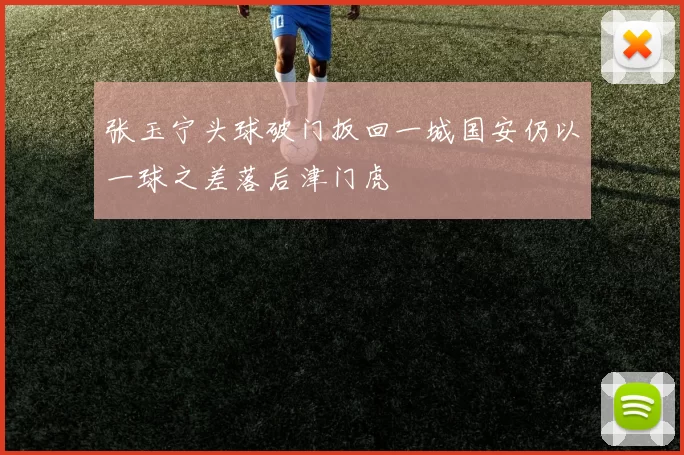 张玉宁头球破门扳回一城国安仍以一球之差落后津门虎